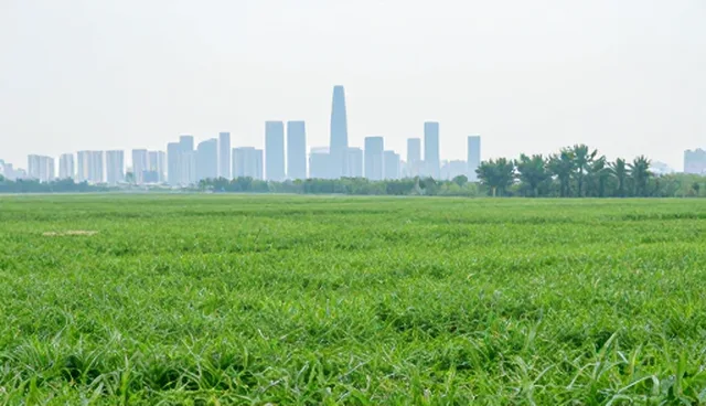 信息平台建设：产品性能优化的关键应用场景分析